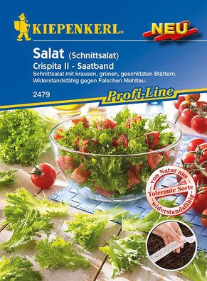 Salat Crispita II (Schnittsalat) Saatband resistent