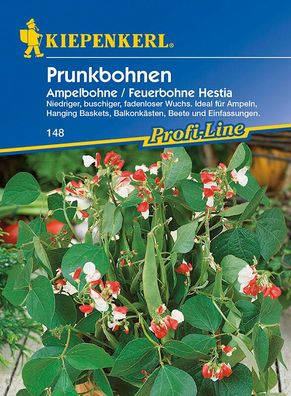 Prunkbohnen Hestia (Ampelbohne) attraktive Blume und wohlschmeckendes Gemüse....