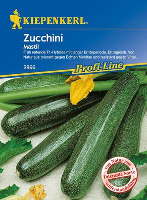 Zucchini Mastil grün resistent
