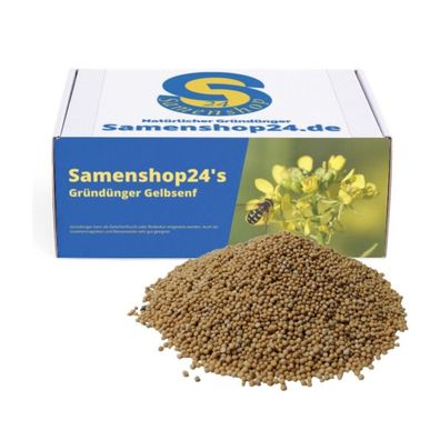 Samenshop24® Gelbsenf, Inhalt: 10kg für ca. 2000m²
