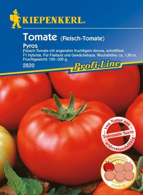 Tomate (Fleischtomate) Pyros F1, angenehm fruchtiges Aroma, schnittfeste F1...