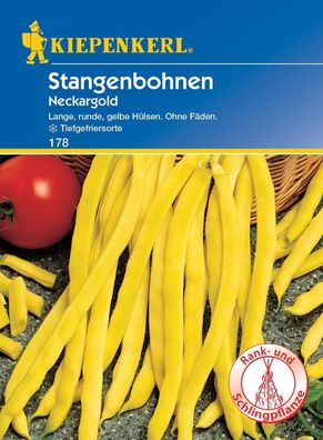 Stangenbohne Neckargold, goldgelbe Feinschmecker-Stangenbohne, ohne Fäden