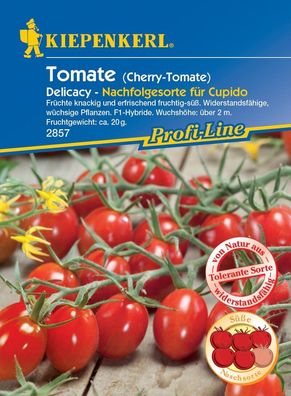 Cherry-Tomate Delicacy F1, F1-Hybride sehr widerstandsfähig, aromatisch...