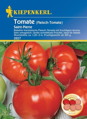 Fleisch-Tomate Saint Pierre, ergibt eine reiche Ernte an großen sehr...