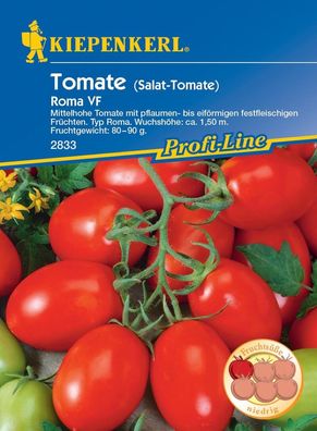 Salat-Tomate Roma VF (Eiertomate/ Romatomate), pflaumen- bis eiförmige...