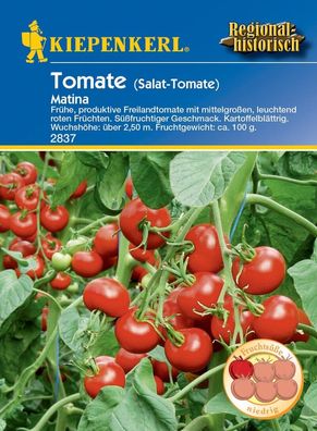 Salat-Tomate Matina, früheste Freilandtomate mit kartoffelblättrigem Laub, ...