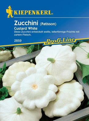 Zucchini Custard White, entwickelt weiße tellerförmige Früchte mit zartem...