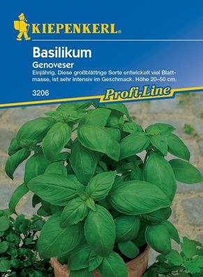 Basilikum Genoveser, einjährige Sorte entwickelt viel Blattmasse, sehr...