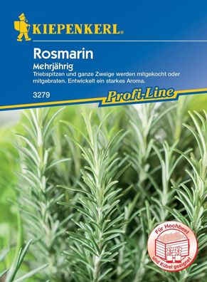 Rosmarin (mehrjährig), sehr aromatisches Würzkraut, wirkt