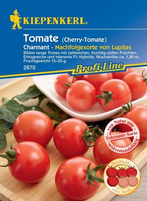Cherry-Tomate Charmant F1, bilden lange Trosse mit zahlreichen fruchtig-süßen...