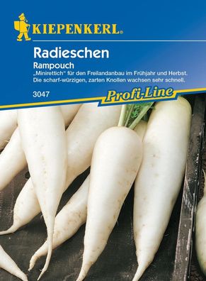 Radieschen Rampouch, Minirettich für den Freilandanbau im Frühjahr und...