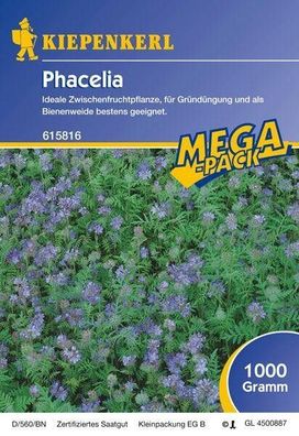 Phacelia Bienenweide Gründünger 1kg