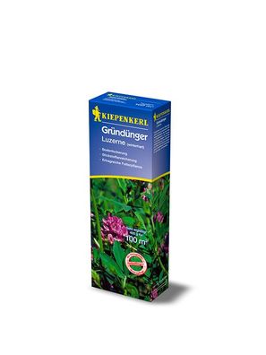 Luzerne Gründünger, für 100 m², wertvolle mehrjährige Gründüngungspflanze für...