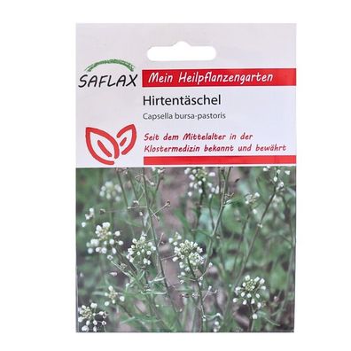 Hirtentäschel - Heilpflanzen Saatgut - 1000 Samen - Capsella bursa-pastoris