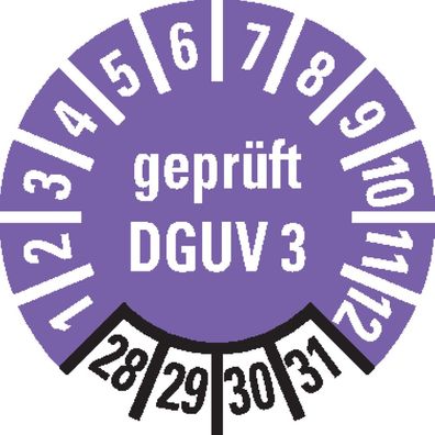 Prüfplak. gepr. DGUV Vorschr.3, 28-30, violett, Folie, ablösbar, Ø10mm, 384/ Heft