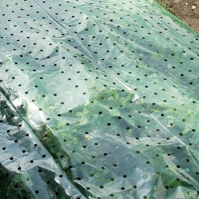 Pflanzfolie grün gelocht 1,5x10 m Frühbeetfolie Pflanzenfolie Pflanzenschutz Folie