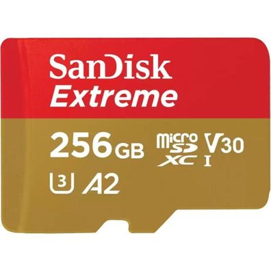 microSD256GB Extreme + 1Ad SDXC Cl.10 SDK R190/ W130 - SanDisk Sdsqxav-256g-gn6ma ...