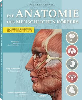 DIE Anatomie DES Menschlichen K?RPERS: Anatomische Namen in 3 Sprachen. Deu ...