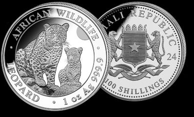 Silbermünze Wildlife Leopard 2024 1 Oz African Silber Somalia 100 Shillings 999