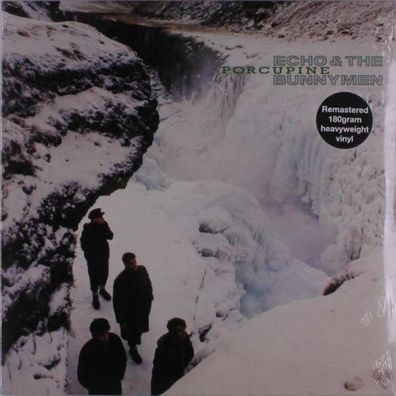 Echo & The Bunnymen: Porcupine (remastered) (180g) - - (Vinyl / Pop (Vinyl))