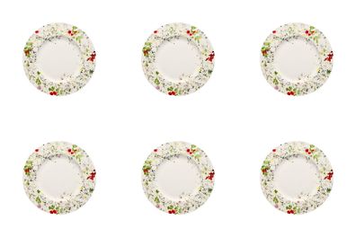 6 x Frühstücksteller 23 cm Fahne - Rosenthal Brillance BONE CHINA FLEURS Sauvages