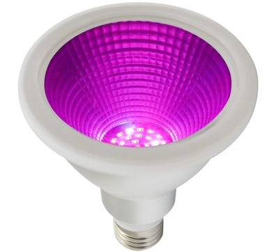 PR Home Grow LED Pflanzenlampe E27 PAR30 Leuchtmittel 12W IP65 30° 450umol/ m²s 450nm