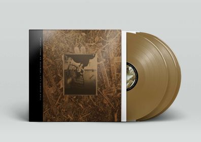 Pixies: Come On Pilgrim... It's Surfer Rosa (30th Anniversary Edition) (Gold Vinyl)