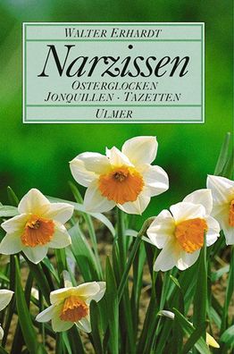Narzissen, Walter Erhardt