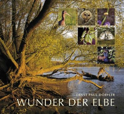 Wunder der Elbe, Ernst Paul D?rfler