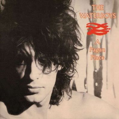 The Waterboys: A Pagan Place (remastered) (180g) - ADA/ Chrys 2564629364 - (Vinyl / A