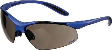 Schutzbrille Daylight Premium EN 166 Bügel dunkelblau, Scheibe smoke PC PROMAT