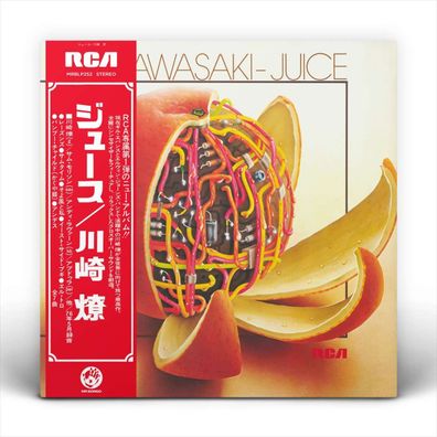 Ryo Kawasaki (1947-2020): Juice - - (LP / J)