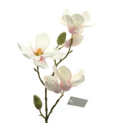 DPI Magnolienzweig Weiß mit rosafarbenem Auge 5 Blüten 43 cm - Kunstblumen