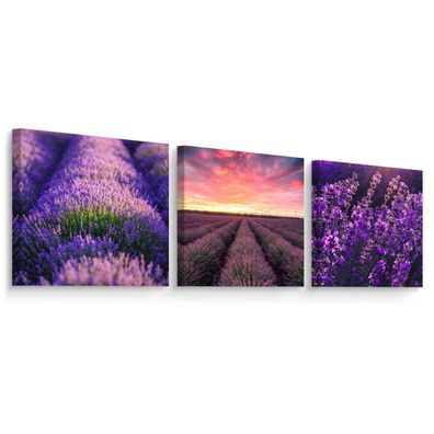 Muralo Leinwandbilder Set 3 Bilder Lavendel Lavendelfeld Natur 3D für Küche Esszimmer