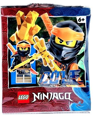 LEGO Ninjago Figur 892290 Cole mit Katana und Doppel Hammer