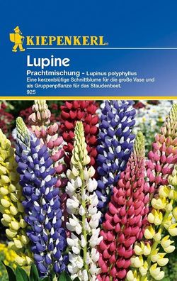 Lupinus Polyphyllus Mix