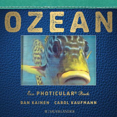 Ozean, Dan Kainen