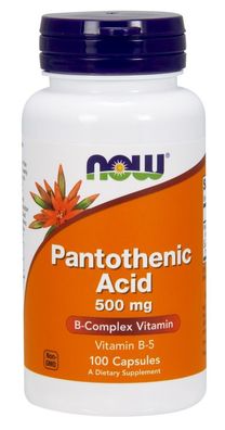 Pantothenic Acid, 500mg - 100 caps