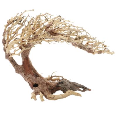 Dupla Crooked Root L - handgefertigte Wurzel für Aquarien