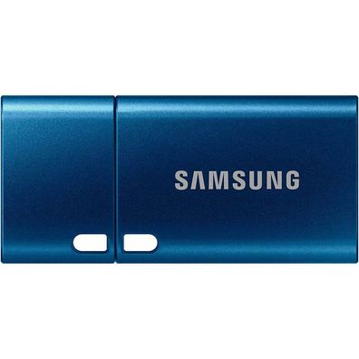 Type-C 256 GB (blau, USB-C 3.2 Gen 1)