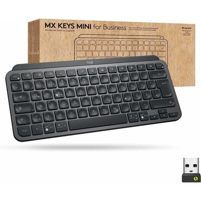 MX Keys Mini for Business (graphit, DE-Layout)