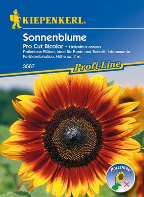 Sonnenblume Pro Cut Bicolor, F1