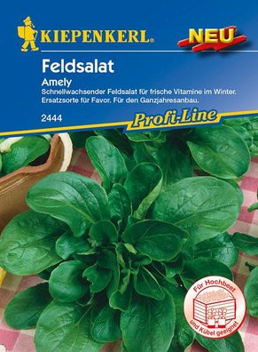 Feldsalat Amely, für den Ganzjahresanbau von frischem Blattgemüse bestens...