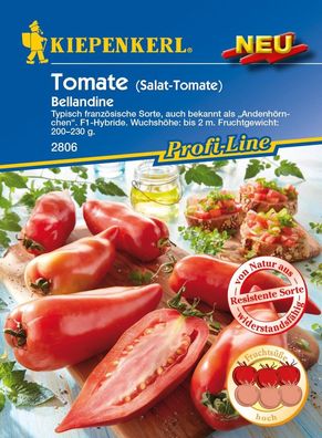 Salat-Tomate Bellandine F1, typisch französische Sorte auch als Andenhörnchen...