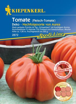 Fleisch-Tomate Deko F1 | Früchte im Typ "Ochsenherz" | hochresistent | für...