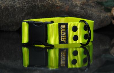 Halsband 40mm breit Neon Suchhund Bulldogge Boxer Malinois Schäferhund genietet