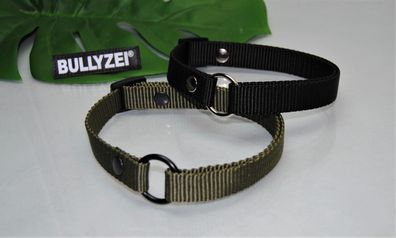 Markenhalsband 20mm Nylon verstellbar bis 65cm Collie Retriever Boxer Setter