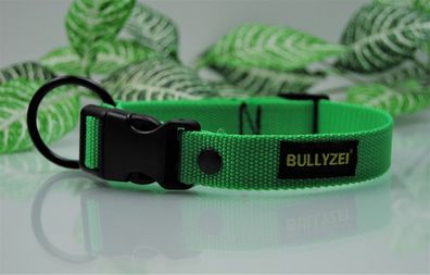Halsband 25mm Neon-Grün Collie Beagle Schäferhund Husky Retriever Boxer Suchhund