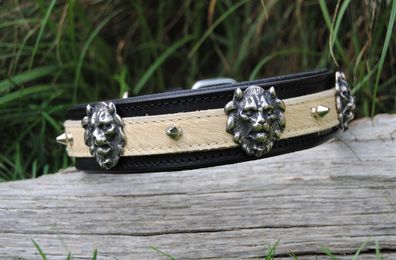 Lederhalsband schwarz, Streifen Fell-Natur, Löwe + Spikes, Retriever Bulldogge