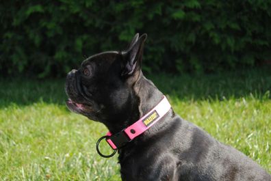 Halsband 25mm Neon-Pink Französische Bulldogge Pitbull Boxer Malinois Retriever